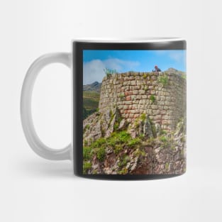Inca Ruins Pisac Mug